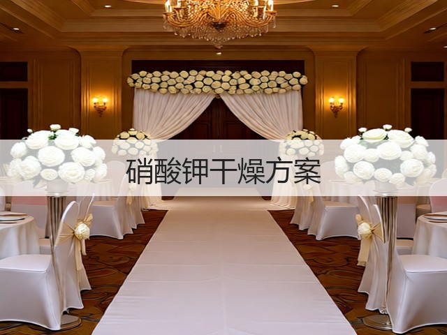 硝酸钾干燥方案(图2) 硝酸钾干燥方案(图2)