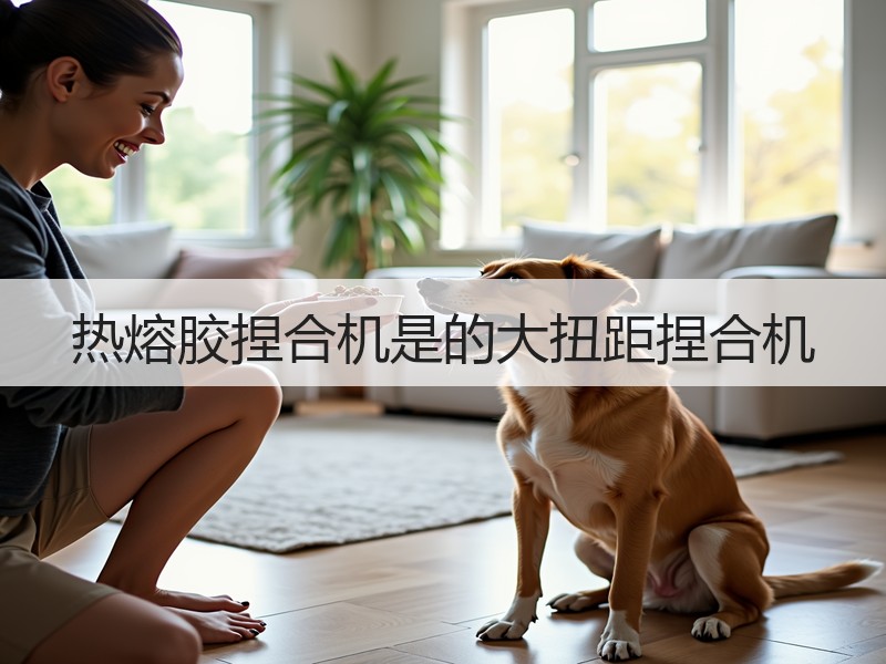热熔胶捏合机是的大扭距捏合机