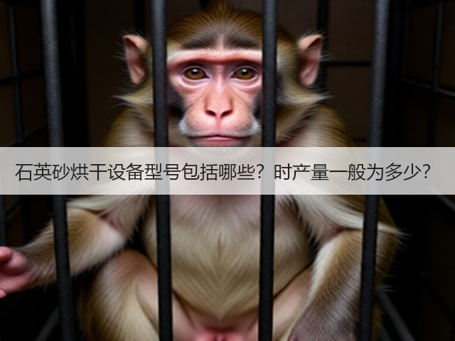 石英砂烘干设备型号包括哪些?时产量一般为多少?(图3) 石英砂烘干设备型号包括哪些?时产量一般为多少?(图3)