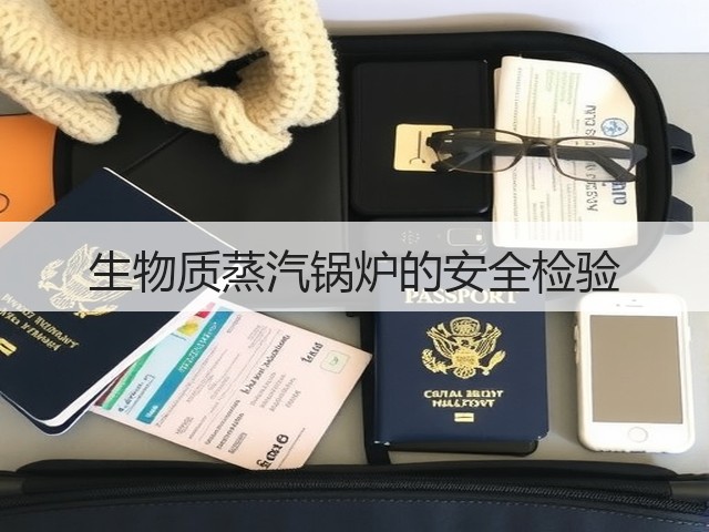 生物质蒸汽锅炉的安全检验(图2) 生物质蒸汽锅炉的安全检验(图2)
