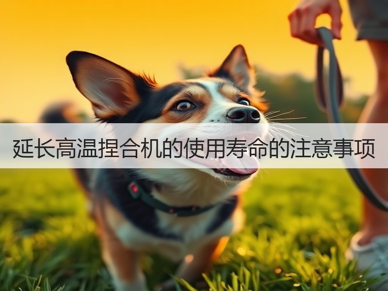 延长高温捏合机的使用寿命的注意事项