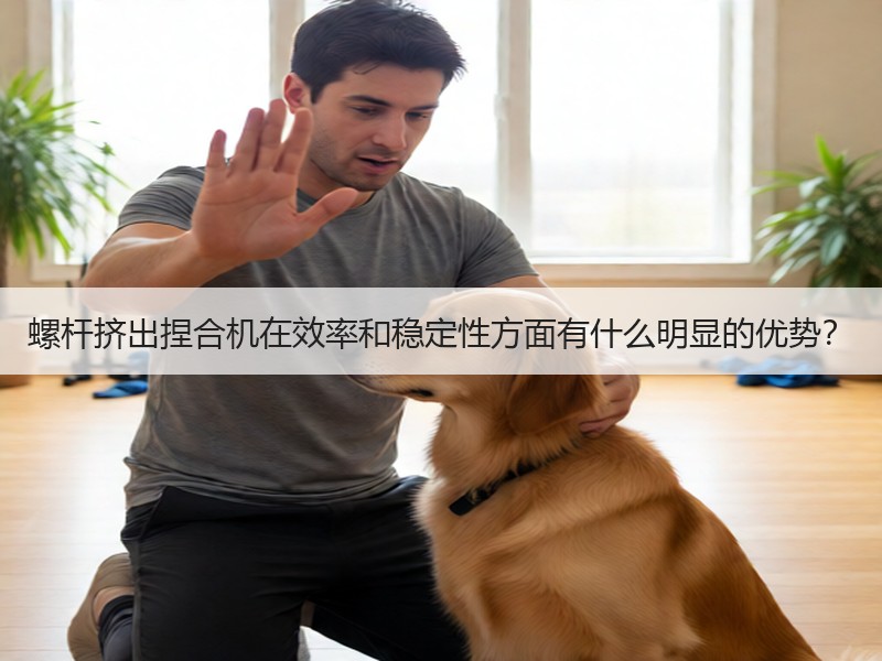 螺杆挤出捏合机在效率和稳定性方面有什么明显的优势？