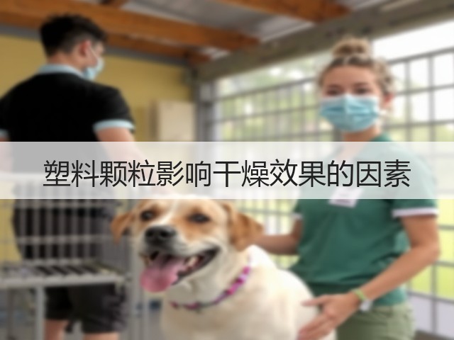 塑料颗粒影响干燥效果的因素(图1) 塑料颗粒影响干燥效果的因素(图1)