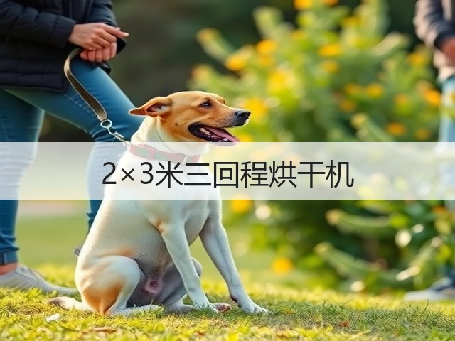 2×3米三回程烘干机(图1) 2×3米三回程烘干机(图1)