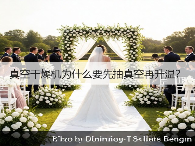 真空干燥机为什么要先抽真空再升温?(图2) 真空干燥机为什么要先抽真空再升温?(图2)