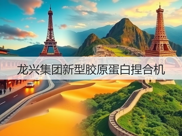 龙兴集团新型胶原蛋白捏合机(图3) 龙兴集团新型胶原蛋白捏合机(图3)