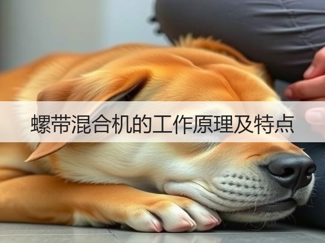 螺带混合机的工作原理及特点(图2) 螺带混合机的工作原理及特点(图2)