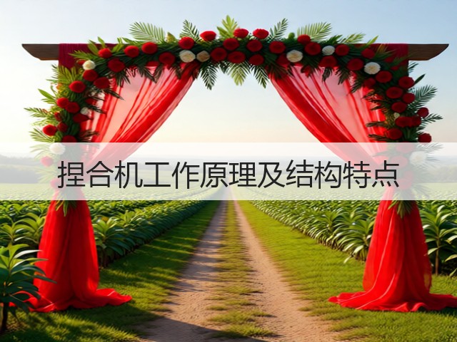 捏合机工作原理及结构特点(图1)