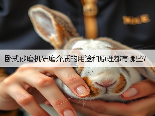 卧式砂磨机研磨介质的用途和原理都有哪些?(图1) 卧式砂磨机研磨介质的用途和原理都有哪些?(图1)