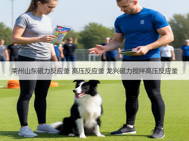 莱州山东磁力反应釜 高压反应釜 龙兴磁力搅拌高压反应釜(图1) 莱州山东磁力反应釜 高压反应釜 龙兴磁力搅拌高压反应釜(图1)