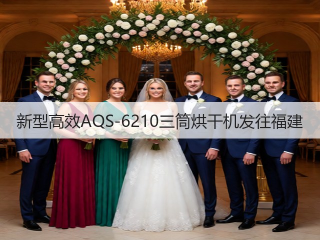 新型高效AQS-6210三筒烘干机发往福建(图2)