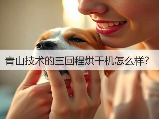 青山技术的三回程烘干机怎么样？(图1)
