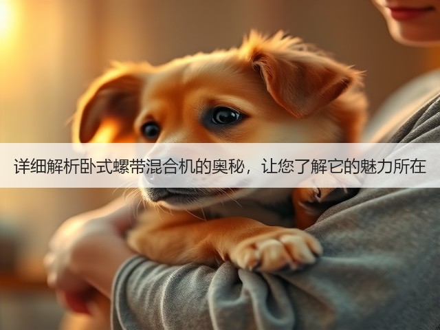 详细解析卧式螺带混合机的奥秘，让您了解它的魅力所在(图2)