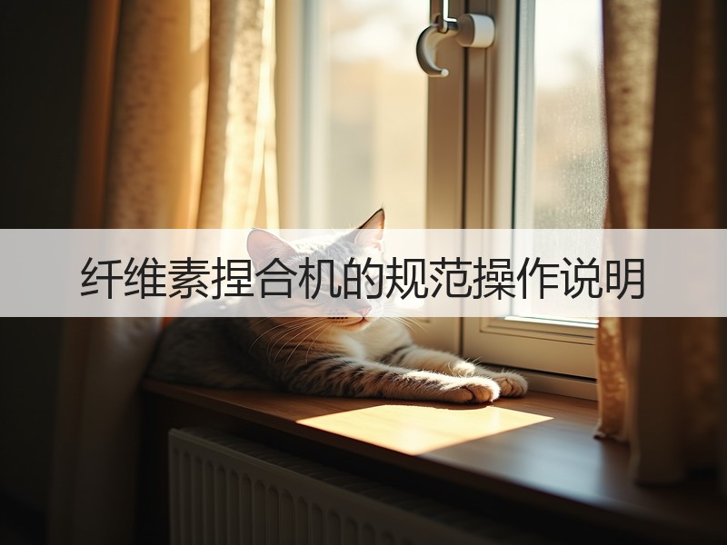 纤维素捏合机的规范操作说明