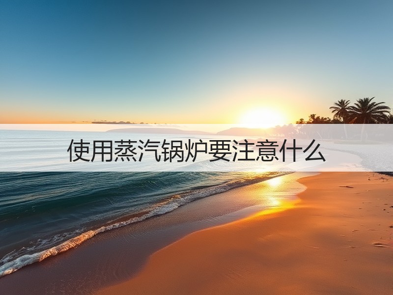 使用蒸汽锅炉要注意什么 使用蒸汽锅炉要注意什么