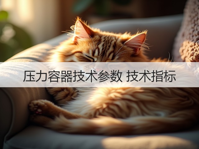 压力容器技术参数 技术指标(图1) 压力容器技术参数 技术指标(图1)