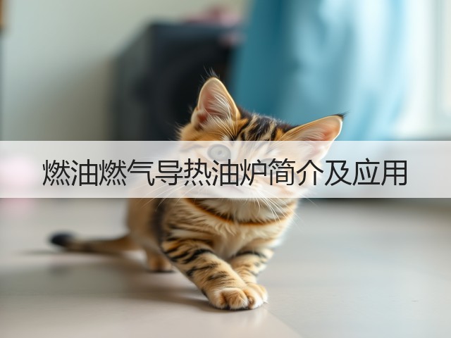 燃油燃气导热油炉简介及应用(图3)