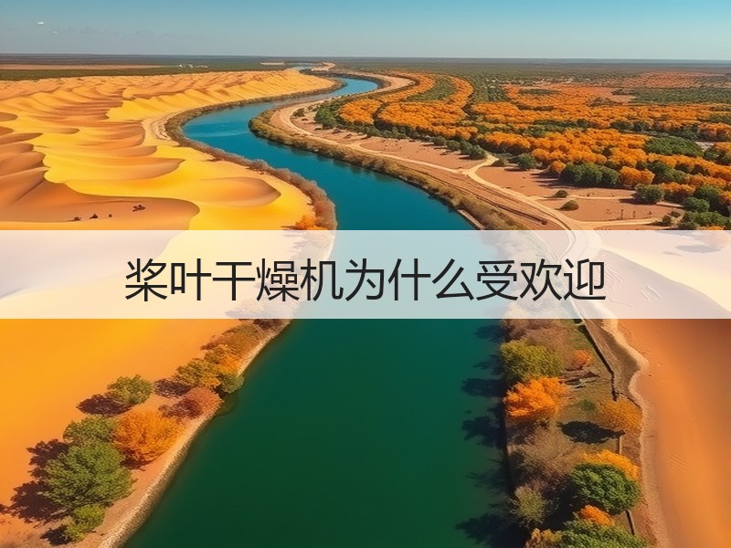 桨叶干燥机为什么受欢迎