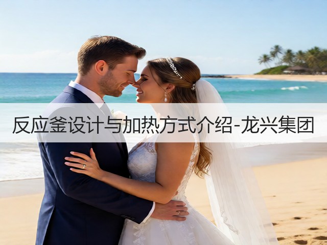 反应釜设计与加热方式介绍-龙兴集团(图2) 反应釜设计与加热方式介绍-龙兴集团(图2)