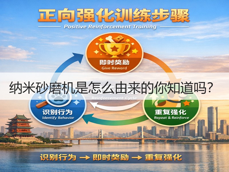 纳米砂磨机是怎么由来的你知道吗? 纳米砂磨机是怎么由来的你知道吗?