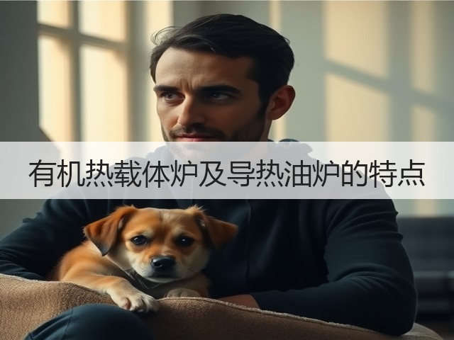 有机热载体炉及导热油炉的特点(图2)