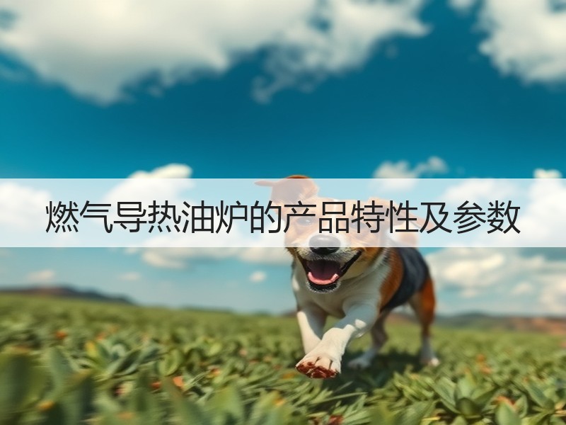 燃气导热油炉的产品特性及参数