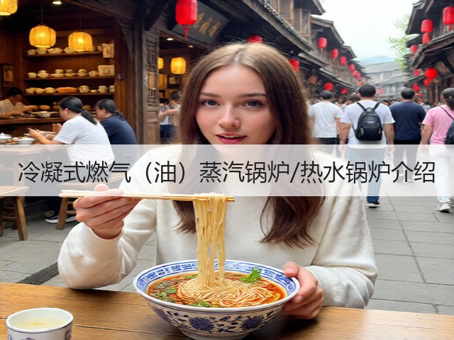 冷凝式燃气（油）蒸汽锅炉/热水锅炉介绍(图1)