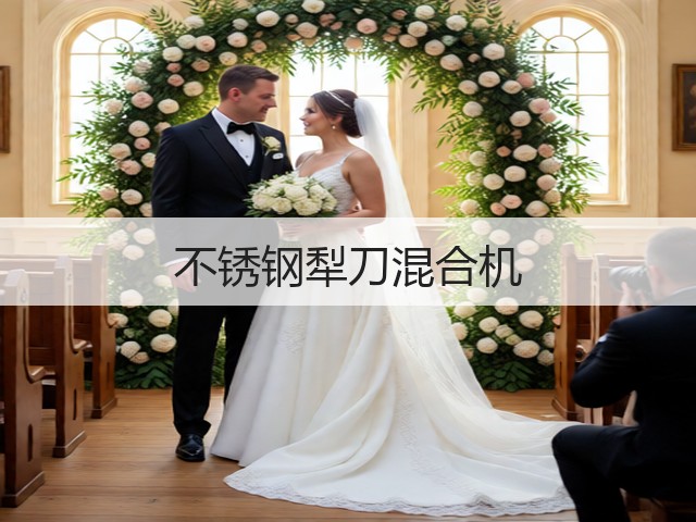 不锈钢犁刀混合机(图2) 不锈钢犁刀混合机(图2)