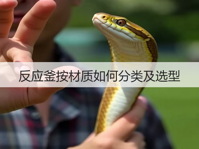 反应釜按材质如何分类及选型(图1) 反应釜按材质如何分类及选型(图1)