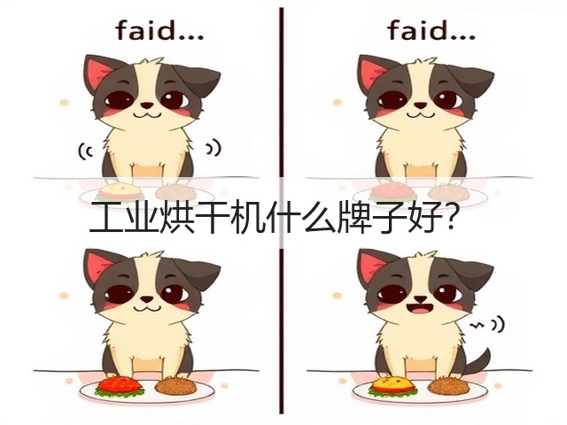 工业烘干机什么牌子好？(图3)