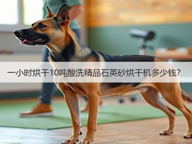 一小时烘干10吨酸洗精品石英砂烘干机多少钱?(图1) 一小时烘干10吨酸洗精品石英砂烘干机多少钱?(图1)