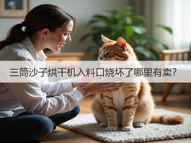 三筒沙子烘干机入料口烧坏了哪里有卖?(图2) 三筒沙子烘干机入料口烧坏了哪里有卖?(图2)