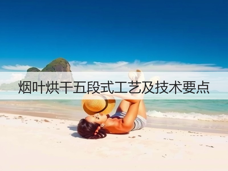 烟叶烘干五段式工艺及技术要点 烟叶烘干五段式工艺及技术要点