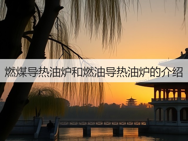 燃煤导热油炉和燃油导热油炉的介绍(图1) 燃煤导热油炉和燃油导热油炉的介绍(图1)