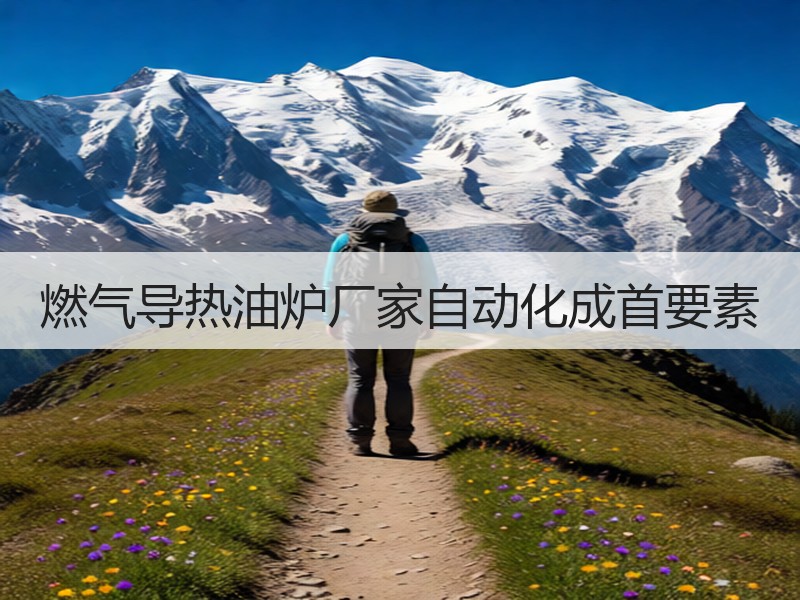 燃气导热油炉厂家自动化成首要素