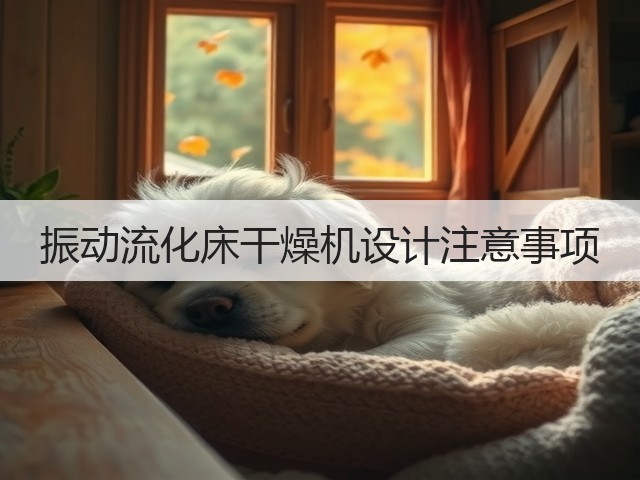 振动流化床干燥机设计注意事项(图1)