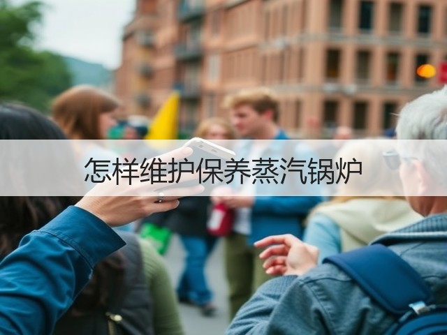 怎样维护保养蒸汽锅炉(图3) 怎样维护保养蒸汽锅炉(图3)