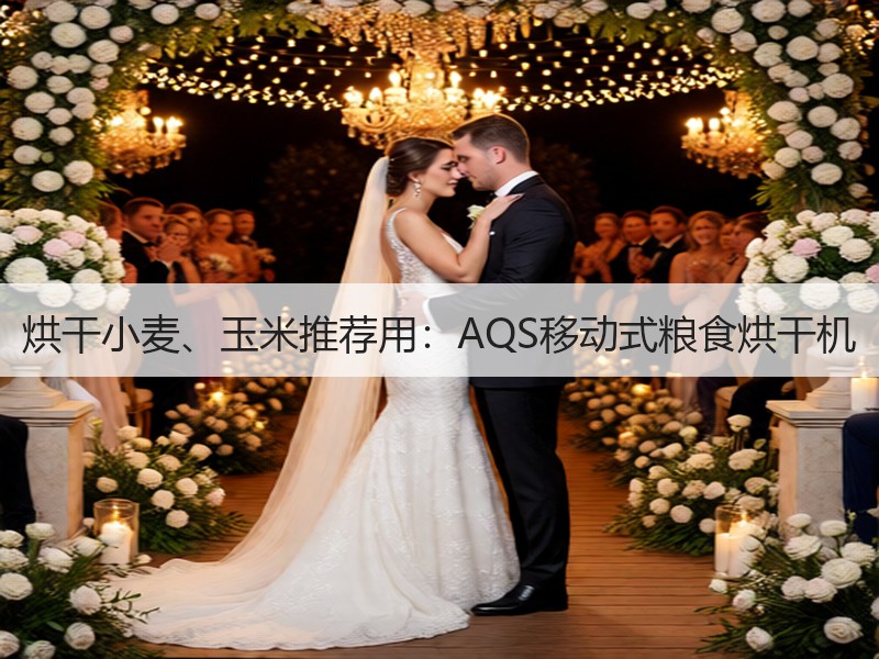 烘干小麦、玉米推荐用：AQS移动式粮食烘干机