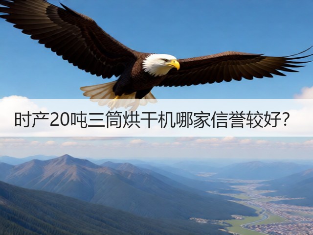 时产20吨三筒烘干机哪家信誉较好?(图3) 时产20吨三筒烘干机哪家信誉较好?(图3)