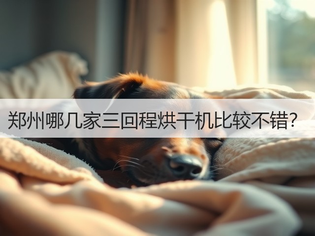 郑州哪几家三回程烘干机比较不错?(图1) 郑州哪几家三回程烘干机比较不错?(图1)