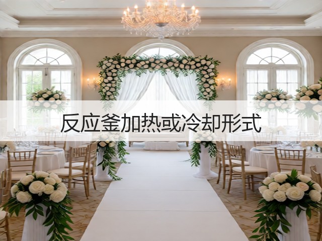 反应釜加热或冷却形式(图3) 反应釜加热或冷却形式(图3)