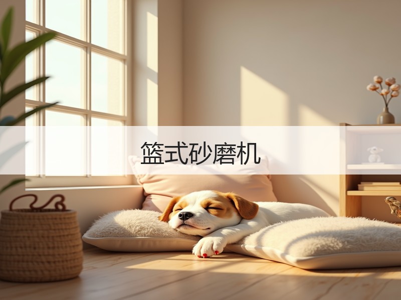 篮式砂磨机