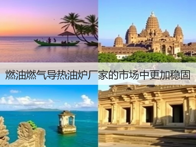 燃油燃气导热油炉厂家的市场中更加稳固 燃油燃气导热油炉厂家的市场中更加稳固