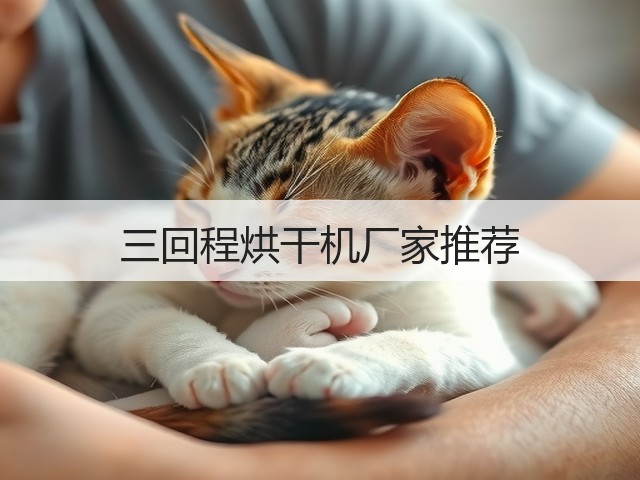 三回程烘干机厂家推荐(图2)