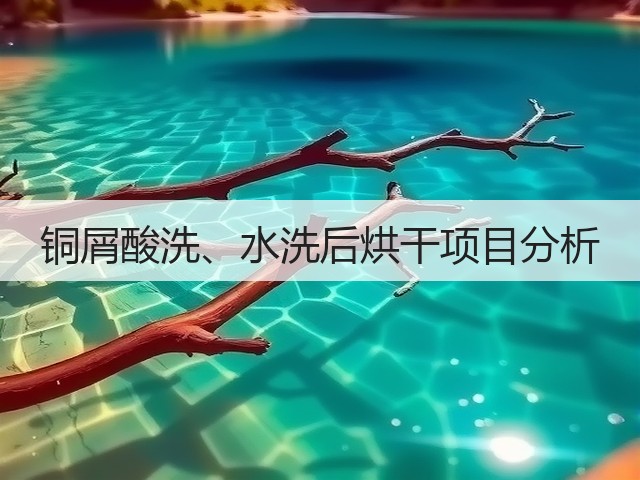 铜屑酸洗、水洗后烘干项目分析(图2) 铜屑酸洗、水洗后烘干项目分析(图2)
