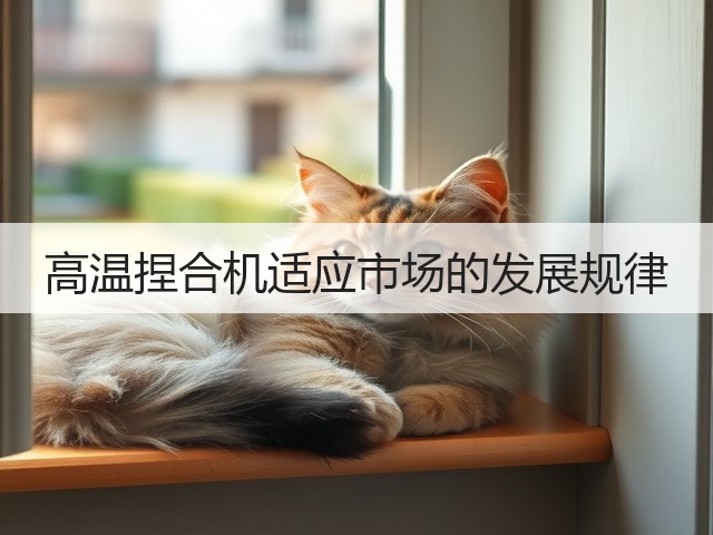 高温捏合机适应市场的发展规律(图1) 高温捏合机适应市场的发展规律(图1)