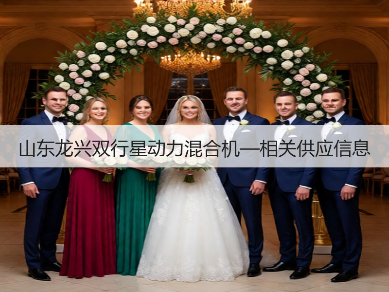 山东龙兴双行星动力混合机—相关供应信息 山东龙兴双行星动力混合机—相关供应信息