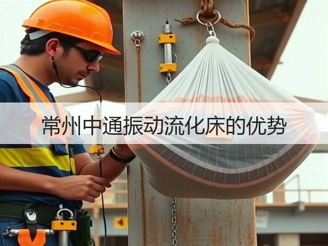 常州中通振动流化床的优势(图2)