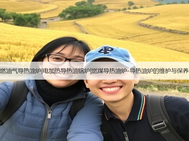 燃油气导热油炉|电加热导热油锅炉|燃煤导热油炉-导热油炉的维护与保养(图1)