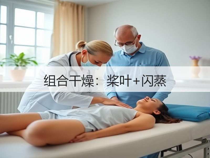 组合干燥：桨叶+闪蒸